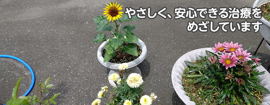 �������Ȉ�@�C���[�W05